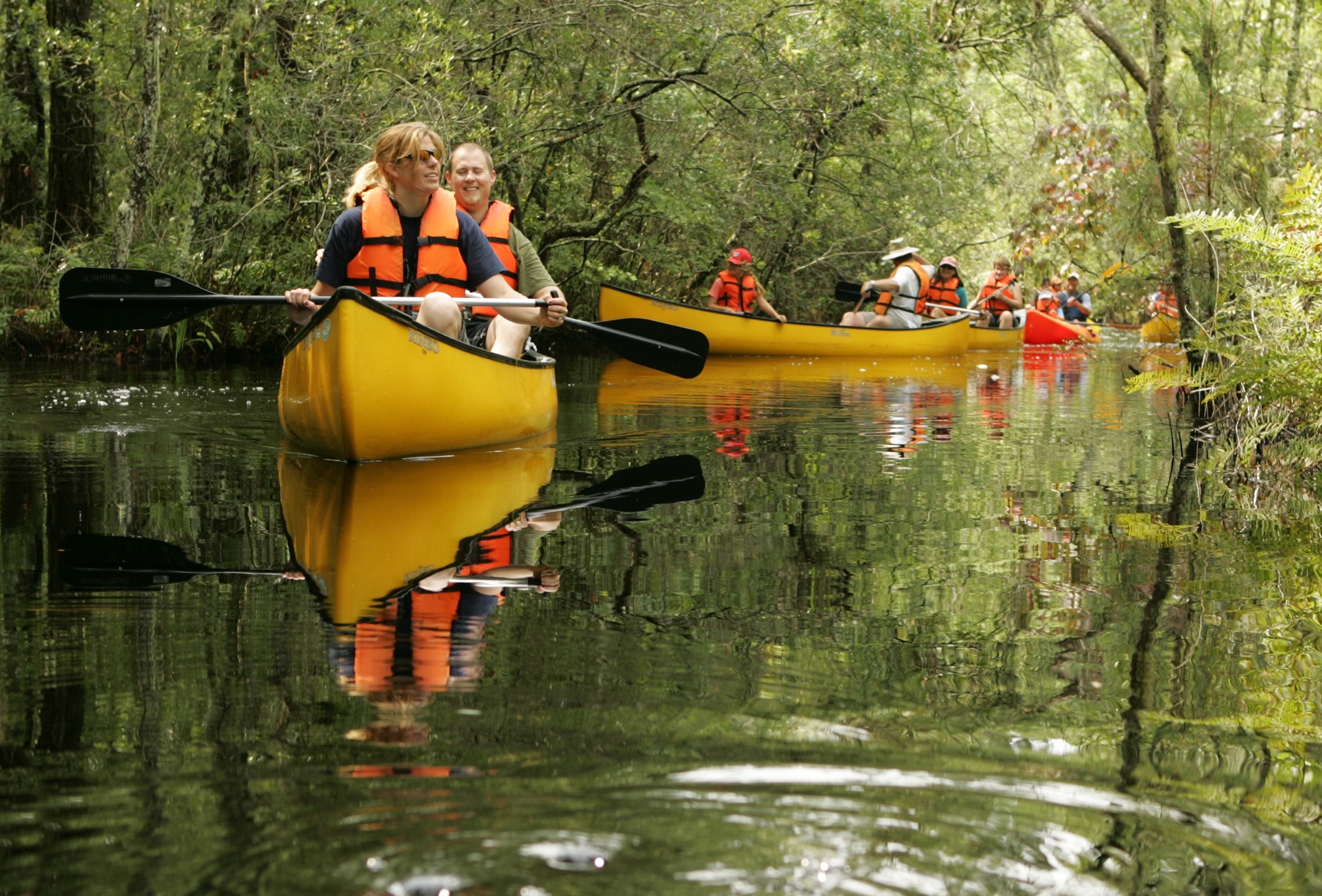 группа туристов плывут на каноэ по реке Рети в Бельгии и рассматривают пейзажи и красоты природы